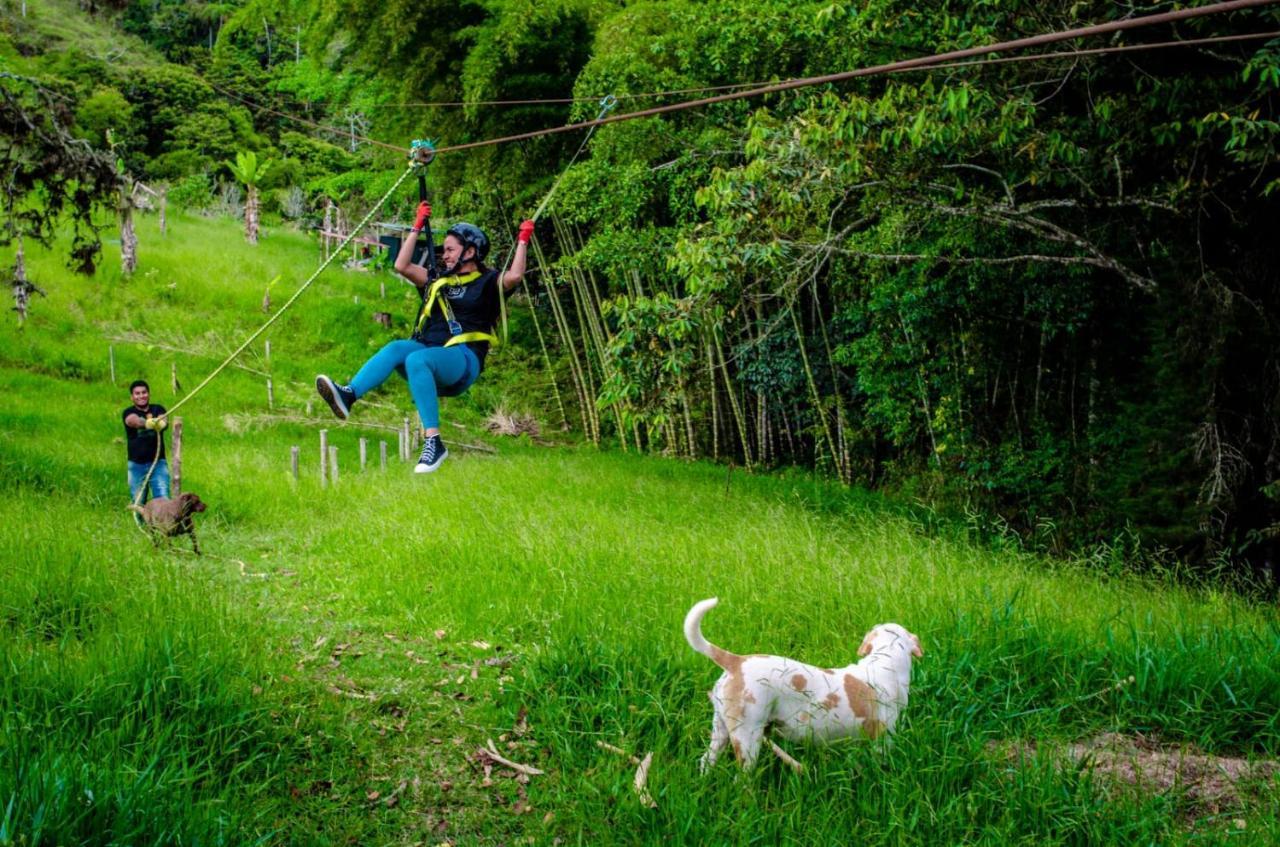 Ecolife Calima Hostel Eksteriør bilde